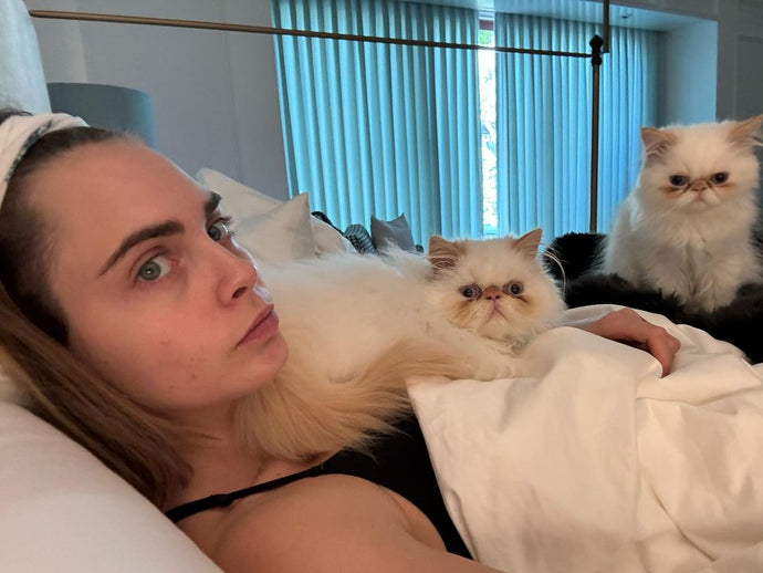 Cara Delevingne expresses devastation as her Los Angeles residence is consumed by fire: '‘My heart is broken today’