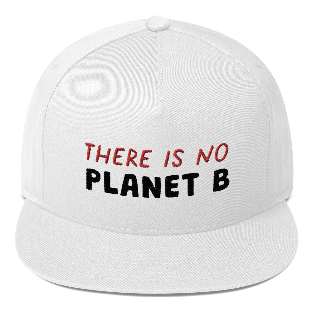 Planet B Flat Bill Cap