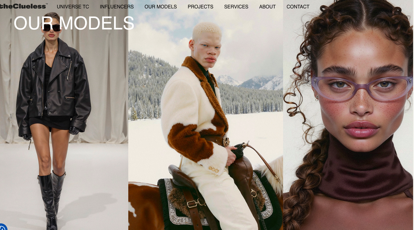 Clueless by Design offers a suite of features designed to enhance wardrobe management: